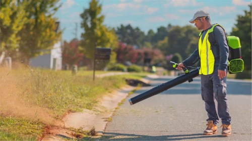 Воздуходув аккумуляторный ранцевый Greenworks GD82BP2