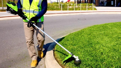 Триммер аккумуляторный Greenworks ST161S